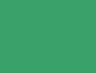 Mossgummi 20x30 grön