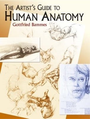 Artists guide to human anatomy