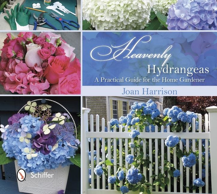 Heavenly hydrangeas - a practical guide for the home gardener