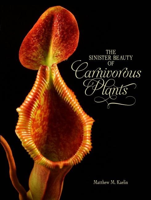 Sinister beauty of carnivorous plants