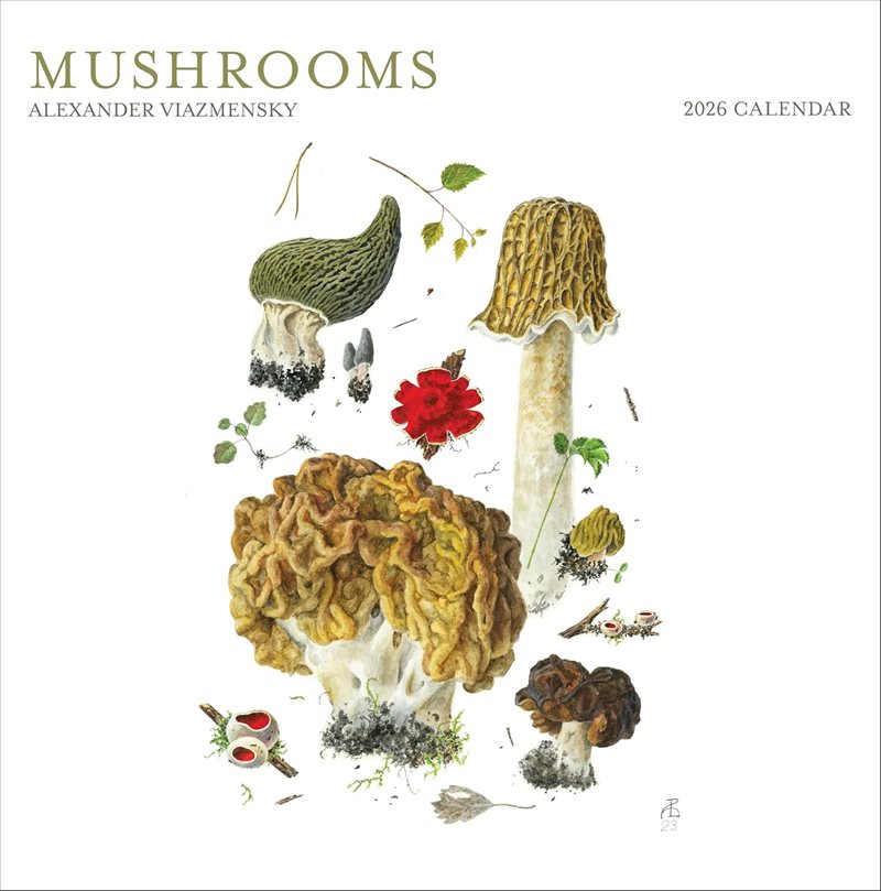 Mushrooms:  Alexander Viazmensky : 2026 Wall Calendar
