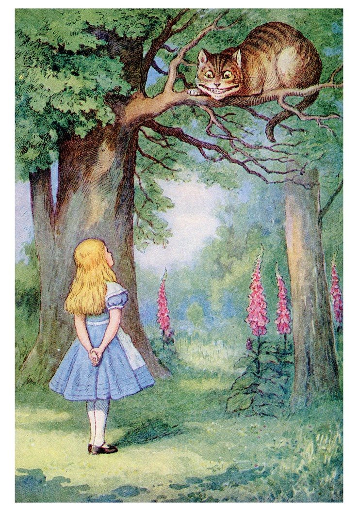 Alice and the Cheshire Cat Notecard