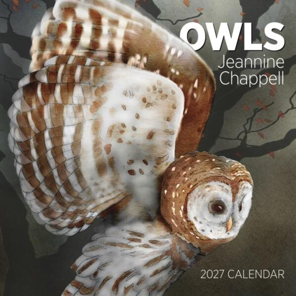 Owls: Jeannine Chappell : 2027 Wall Calendar