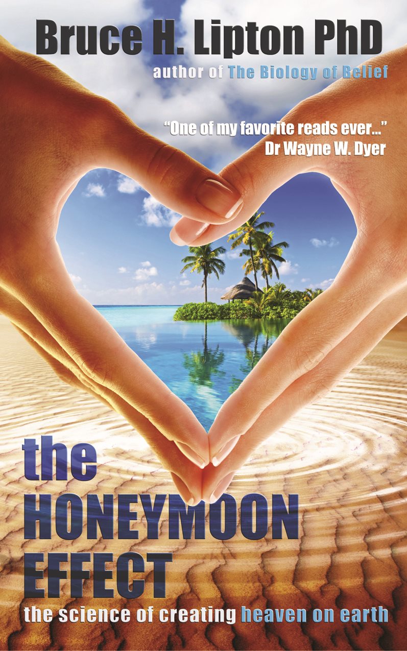 The Honeymoon Effect : The Science of Creating Heaven on Earth