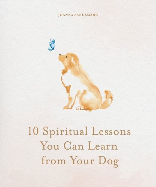 10 Spiritual Lessons You Can Learn from Your Dog
