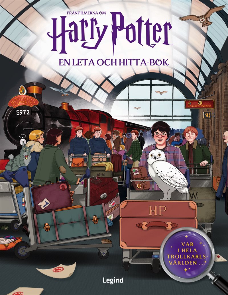 Harry Potter : En leta och hitta-bok