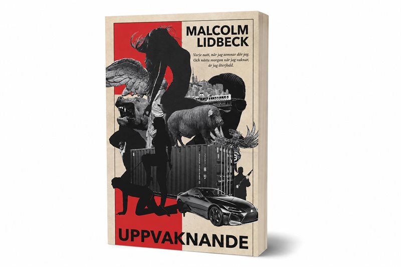 Uppvaknande