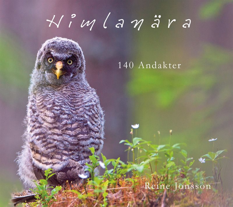 Himlanära