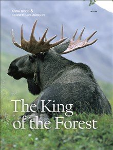 The King of the Forest