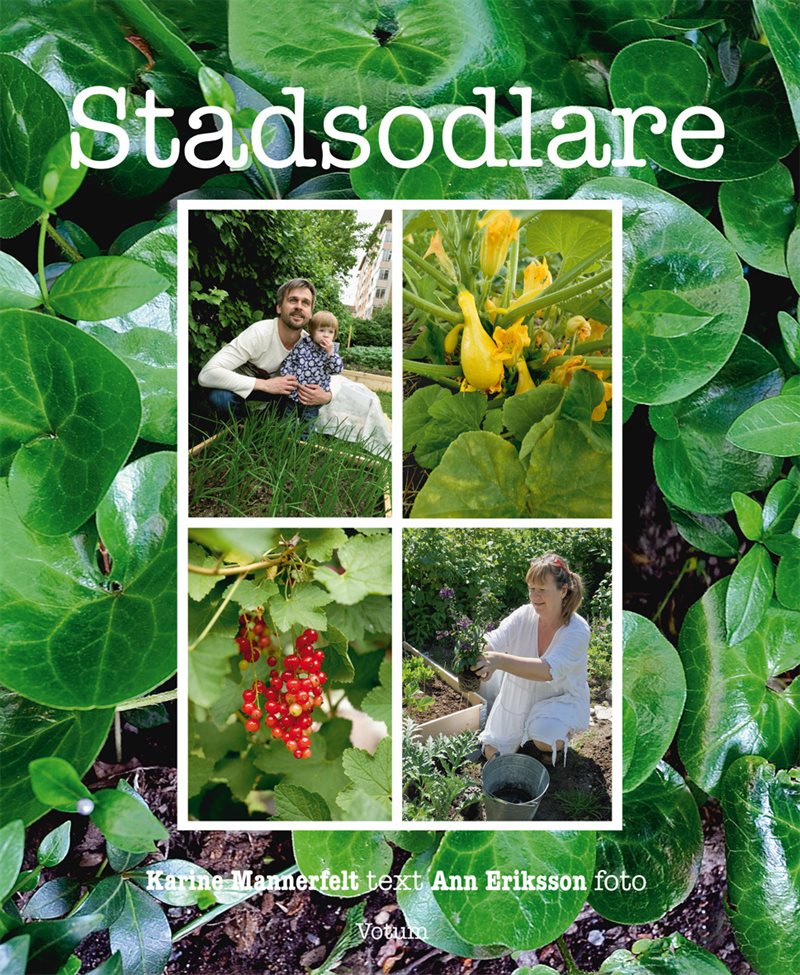 Stadsodlare