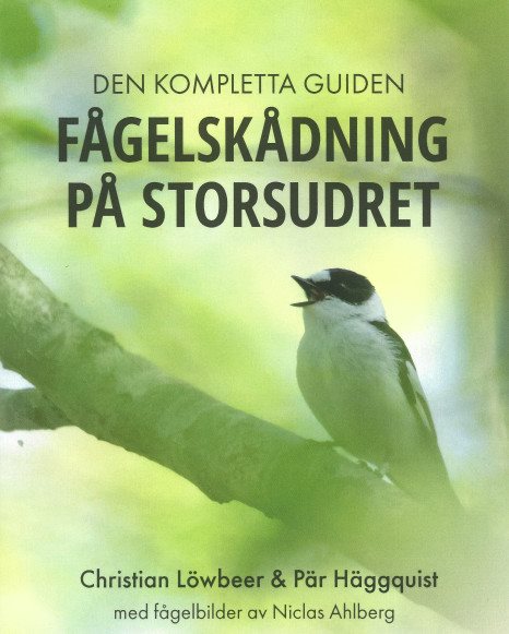 Fågelskådning på Storsudret