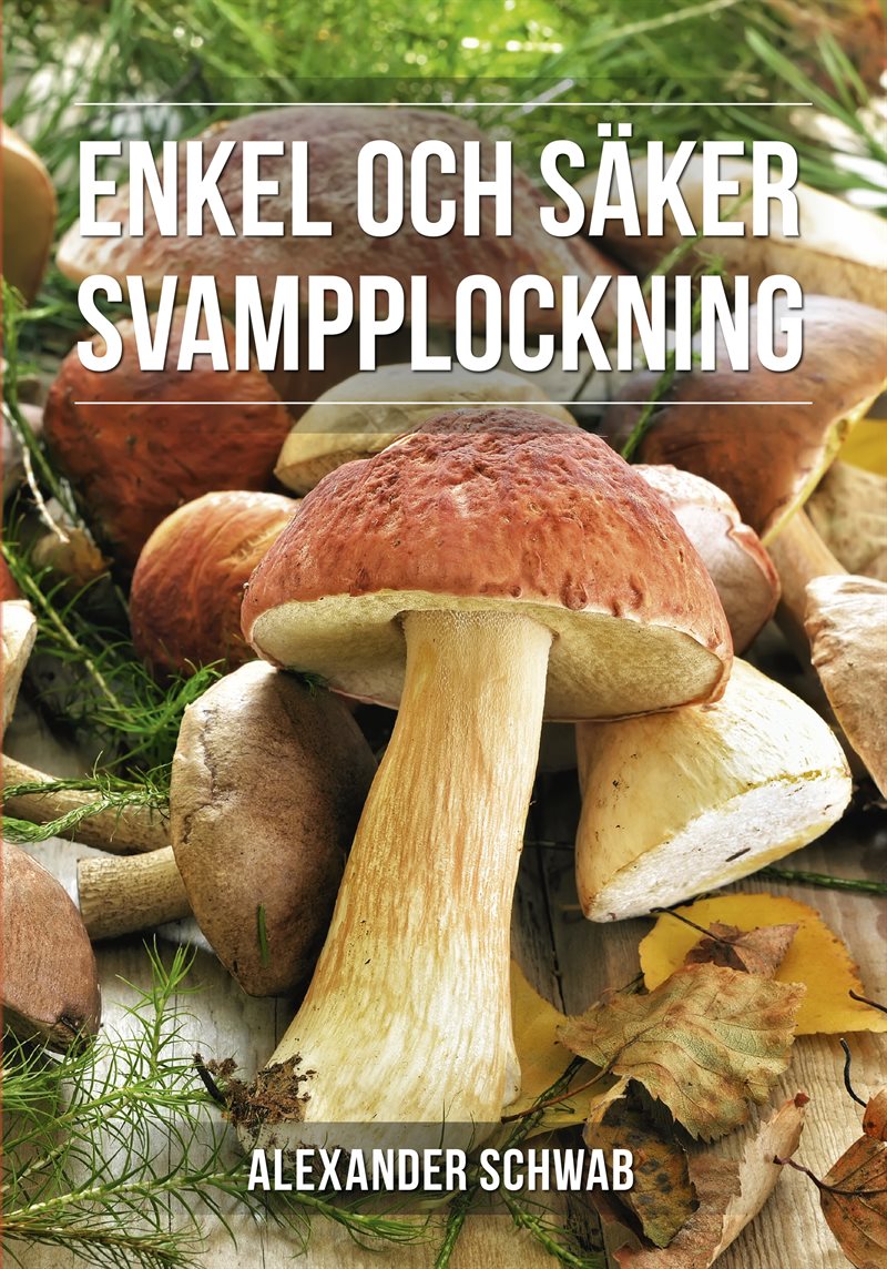 Säker svampplockning : de vanligaste svamparna