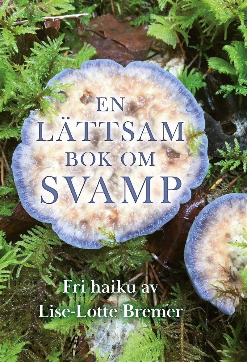 En lättsam bok om Svamp