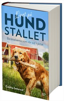 Livet på Hundstallet : berättelserna som rör vid hjärtat