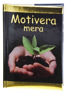 Motivera Mera (Kompisar)